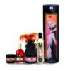Carnal Pleasure Collection Set