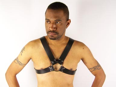 X Harness
