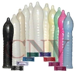  Contempo Assortment 12 Pack