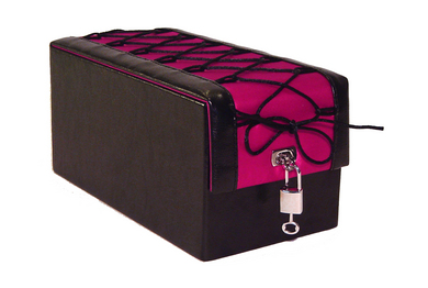 DevineToy Box Hot Pink Corset