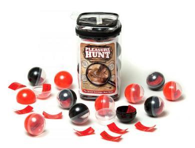 Pleasure Hunt Game