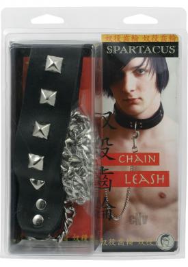 Chain Leash W/studded Handle 4 Ft