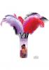 Fetish Fantasy Love Plumes 12/display