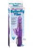 Wp Butterfly Beginner Vibe