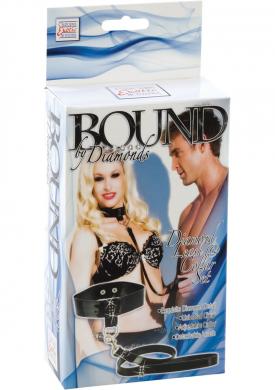 Diamond Leash and Collar Set