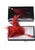 Tantra Feather Teaser Red