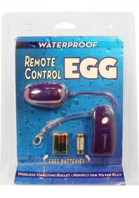 Remote Control Egg Purple