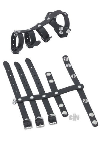 Buckle Vertebrate