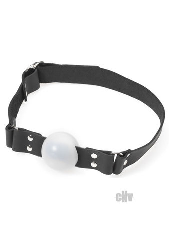 Hard Plastic Ball Gag D Ring