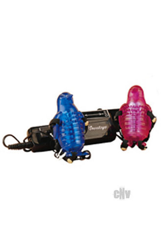 Passion Penguin Blue