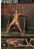 Porn Star Slaves 03