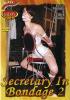 Secretary In Bondage 02