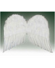 Angel 22in Feather Wings