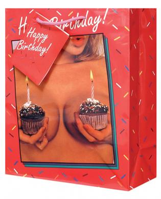 Happy birthday! woman's cupcakes gift bag