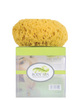 Body spa vibrating sponge - natural foam