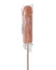 Lollicock sucker, vanilla