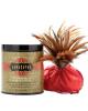 Kama sutra honey dust - 8 oz strawberries and champagne