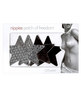 Pasties, Night Fever Small Pewter Star 2-pack
