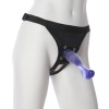 VAC-U-LOCK SET &middot; LUCID DREAM PURPLE G-SPOT