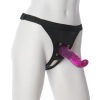 VAC-U-LOCK SET &middot; LUCID DREAM FUCHSIA DONG