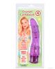 Crystal caribbean #4 10 function jelly vibe - purple