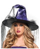 Spider Witch Hat