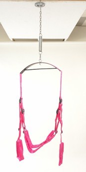 Fantasy sex swing - pink