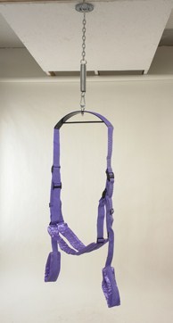 Fantasy sex swing - purple