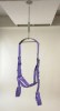 Fantasy Sex Swing Purple