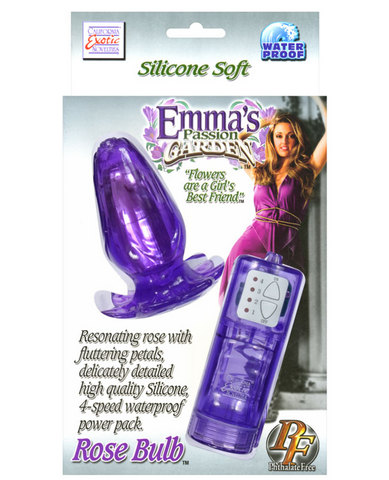 Case of 6 emmas passion garden rose bulb purple