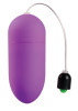 10 Speed Vibrating Egg Purple