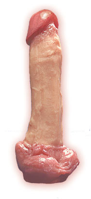 Man-O-War Dong 10in