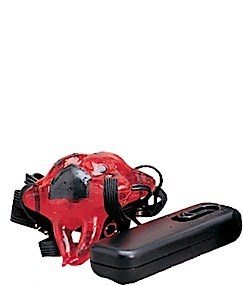 Lady Bug - Red