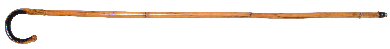 40in Bamboo Cane