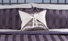 Decor Stashe In Grey Velvish