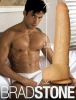 Falcon BRAD STONE, Super Cock