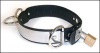 Locking Stainless Steel/Leather Locking Collar, XS