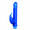 BATH TUB BIRDIE CASE OF 12