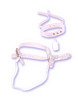 Jenna Jameson's Vac-u-Lock Saddle
