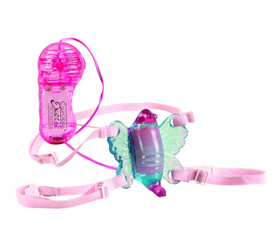 Shane’s World Venus Butterfly