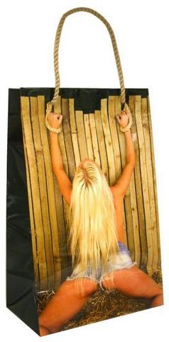 Gift Bag Girl Tied To Fence