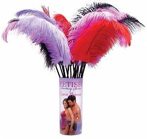 Ff Love Plumes 12/Display
