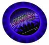 Night To Remember 9in Paper Plates 10 Pack