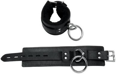 Locking Buckle Restraints