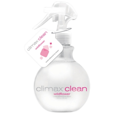 Antibacterial Toy Cleanser Wildflower