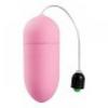 Vibrating Egg Pink 10 Speed