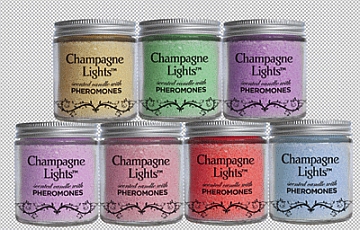 Champagne Lights Cinnamon Apple