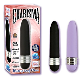SE0544-30 Charisma Mini Black