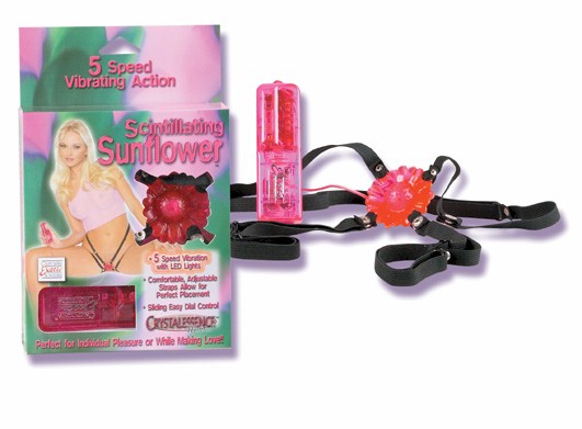 SE0600-04 Scintillating Sunflower
