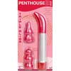 Triple Bliss Interchangeable Tip Vibrator